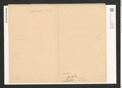 Nitzschia amphibia var. fossilis Grun. (de-Toni-Nr.: Genus 47, Species 2132) Zeichnungen Sammlung Grunow (NHMW-BOT-W0372299)
